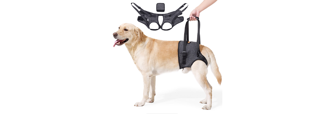 Hind Leg/Rear Body Support Lift Strap