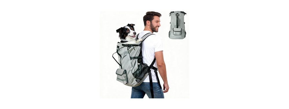 Dog travel backpack