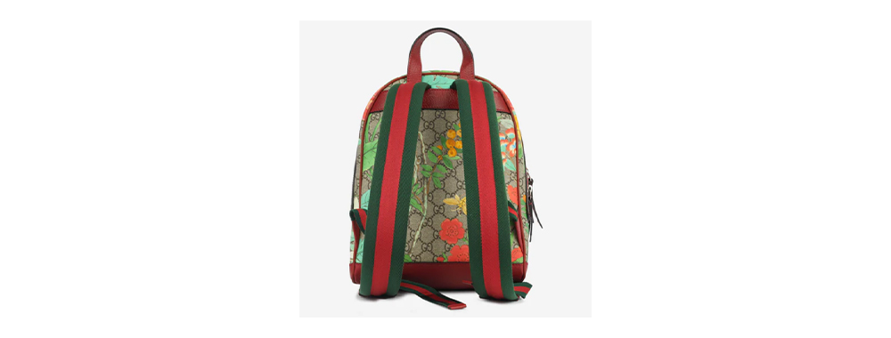 GUCCI backpack with no padding on the back