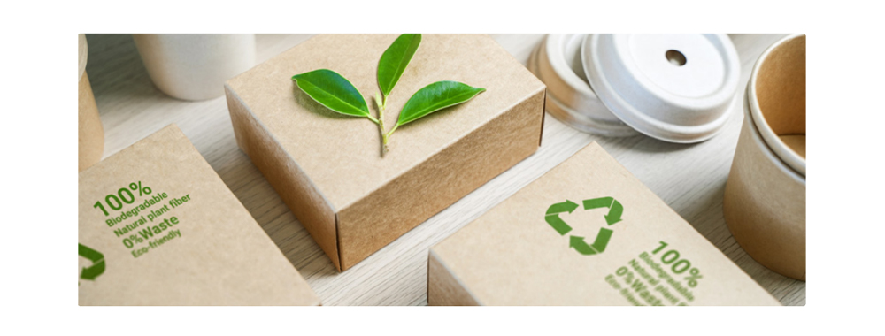 recyclable alternatives recyclable alternatives